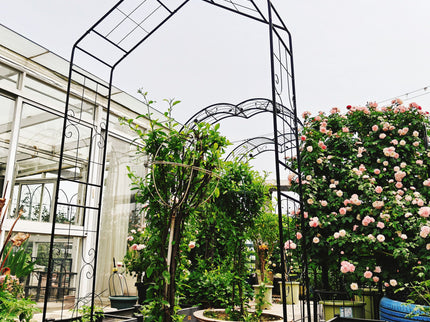 Garden Arch, Climbing Plants Support Outdoor - Black