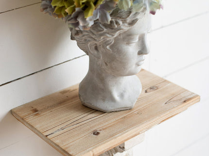Greek Style Cement Head Planter Indoor Outdoor Home Garden Decor - Gray