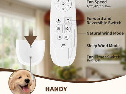 Pumpkin Ceiling Fan, Fandelier With 6 E12 Sockets, Reversible DC Motor, Adjustable Hanging, 6 Speeds Remote Control - Black