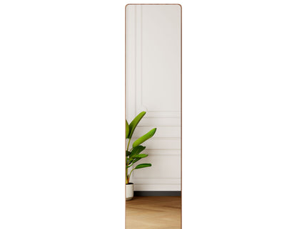 3 In 1 Multifunctional Full Length Clothing Mirror
