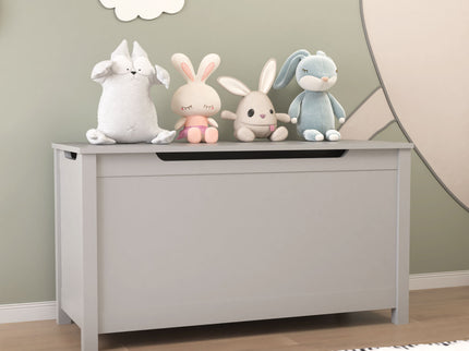 Toy Box Storage With Safety Hinged Lid