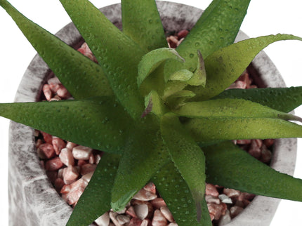 6" Tall, Artificial Plant, Succulent, Indoor, Faux, Fake, Table, Greenery, Potted, Decorative (Set of 2) - Green / Gray