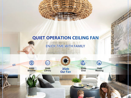 Ceiling Fan With Remote Control, 6 Speed, DC Motor Reversible Ceiling Fan For Living Room - Matte Black