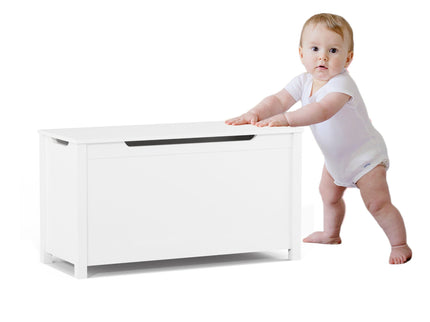 Toy Box Storage With Safety Hinged Lid