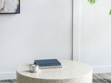 Unique Capiz Coffee Table & Pedestal Base