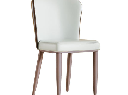 Dining Chair With Carbon Steel Legs, Comfortable Seating, (Set of 2) - White