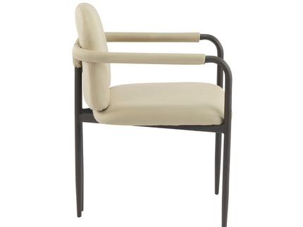 Modern Dining Chair (Set of 2) With Iron Frame - Espresso / Khaki