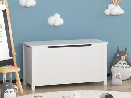 Toy Box Storage With Safety Hinged Lid
