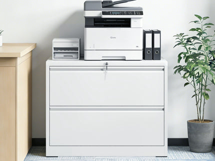 Lateral File Cabinet 2 Drawer, Locking File Cabinet With Anti Tip Interlock, Heavy Duty Storage For Letter / Legal / A4 Files - White