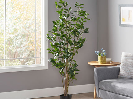 Artificial Laurel Tree