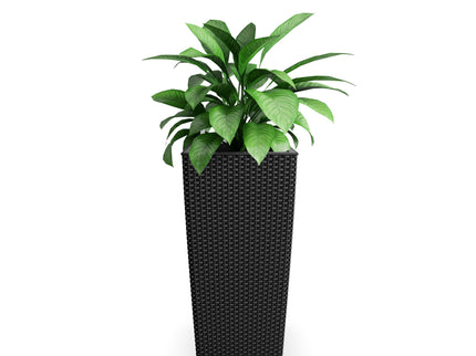 Indoor Outdoor Planter With Automatic Watering System
