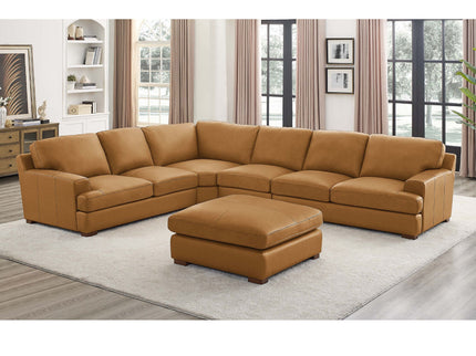Large Seating Modular Sectional