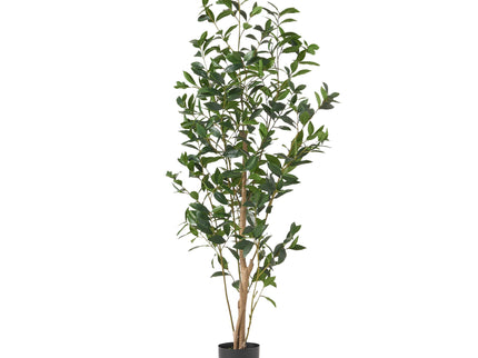 Artificial Laurel Tree