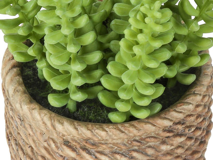 Artificial Succulent, Table Decor (Set of 2) - Green / Light Brown - Plastic