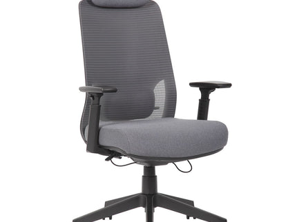 High Back Breathable Ergonomic Office Chair With Adjustable Headrest & 5D Armrest, Height Adjustable Swivel - Antique Gray