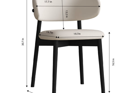 Mid-Century Modern Dining Chair (Set of 2)