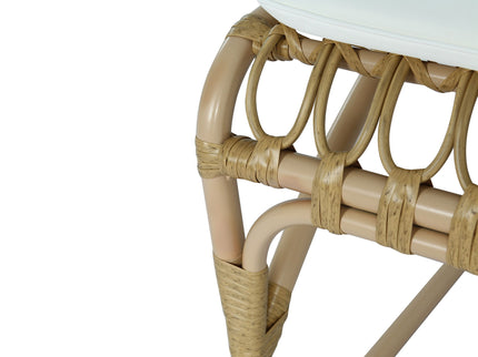 Outdoor Wicker Dining Chairs With Washable Cushion (Set of 2)