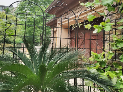 Metal Garden Rustproof Trellis For Climbing Plants Outdoor Flower Support