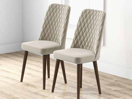 Katie - Mid-Century Modern Dining Chair (Set of 2)