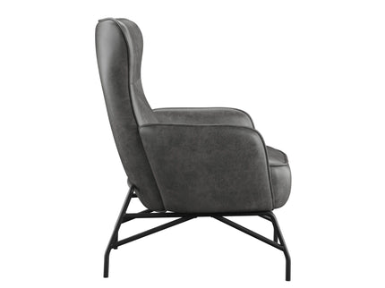 Contemporary Style Accent Chair