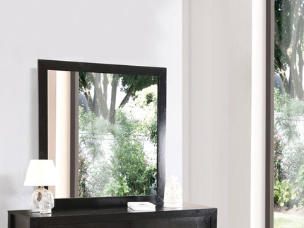 Burlington - Modern Design Transitional Wall Mirror