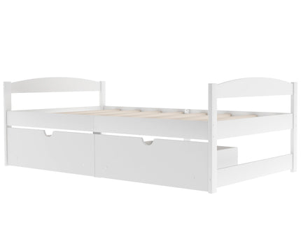 Platform Bed With 2 Drawers
