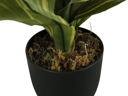 17" Tall, Artificial Plant, Dracaena, Indoor, Faux, Fake, Table, Greenery, Potted, Real Touch, Decorative - Green / Black
