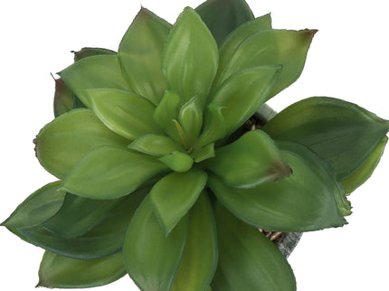 6" Tall, Artificial Plant, Succulent, Indoor, Faux, Fake, Table, Greenery, Potted, Decorative (Set of 2) - Green / Gray