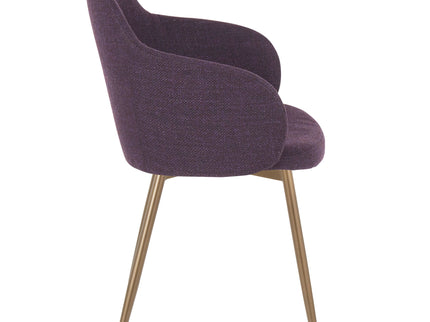 Boyne - Contemporary Stylish Design Chair (Set of 2)