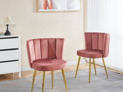 Ergonomic Dining Chair (Set of 2)
