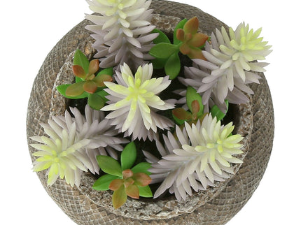 Artificial Succulent, Table Decor (Set of 2) - Green / Brown