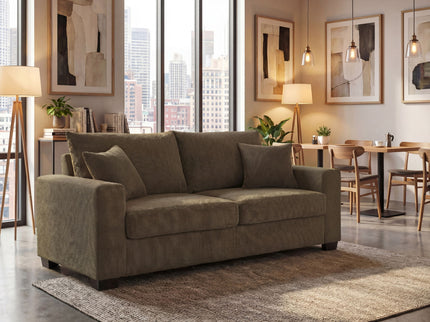 2 Seater Sofa, 2 Throw Pillows For Living Room