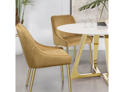 Lichton - Upholstered Dining Side Chair (Set of 2)