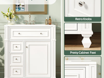 Bathroom Vanity Cabinet With Sink, Soft Close Doors With Door Organizer