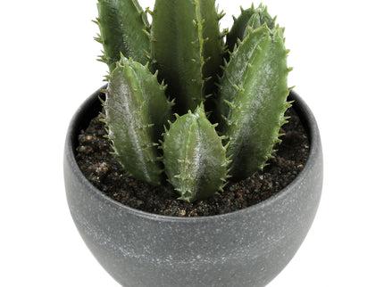 Artificial Succulent Plants (Set of 3)