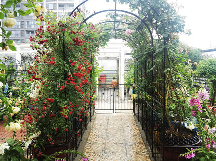 Metal Garden Arch With Two Plant Stands Wide High Climbing Plants Support Rose Arch Outdoor - Black