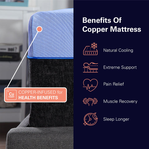 12" Refresh Flex Head Hybrid Cooling Fast Responding Latex Foam & Coil Mattress