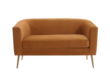 Modern Elegant Design Style Loveseat