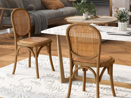 Vintage Style Dining Chairs (Set of 2)