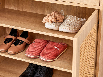 Multifunctional Modern Minimalist Shoe Cabinet