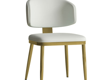 Modern Dining Chairs For Kitchen (Set of 2)