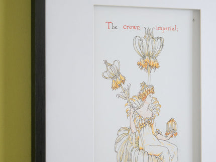 Wall Arts (Set of 2) - Multicolor