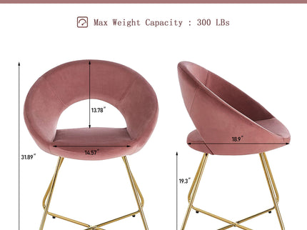 Modern Accent Chair (Set of 2)