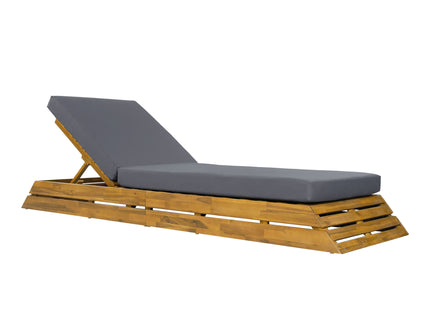 Chaise Lounge Set With 2 Fold Cushion