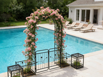 Metal Garden Arch With Gate Wide High Climbing Plants Support Rose Arch Outdoor - Black