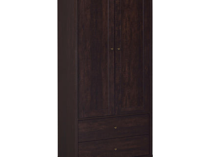 Nestor - 2 Drawer Tall Accent Cabinet With 2 Doors - Rustic
