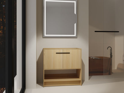 Modern Freestanding Bathroom Vanity With 2 Doors
