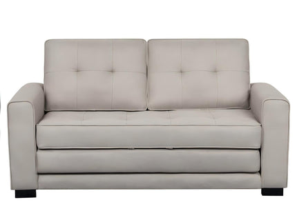 Upholstered Pull Out Sleeper Loveseat