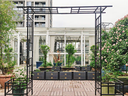 Garden Arch With Adjustable & Climbing Plants Support - Black