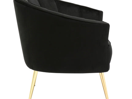 Tania - Contemporary / Glam Chair